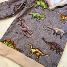 Load image into Gallery viewer, Neutral Dinos Raglan Hoodie