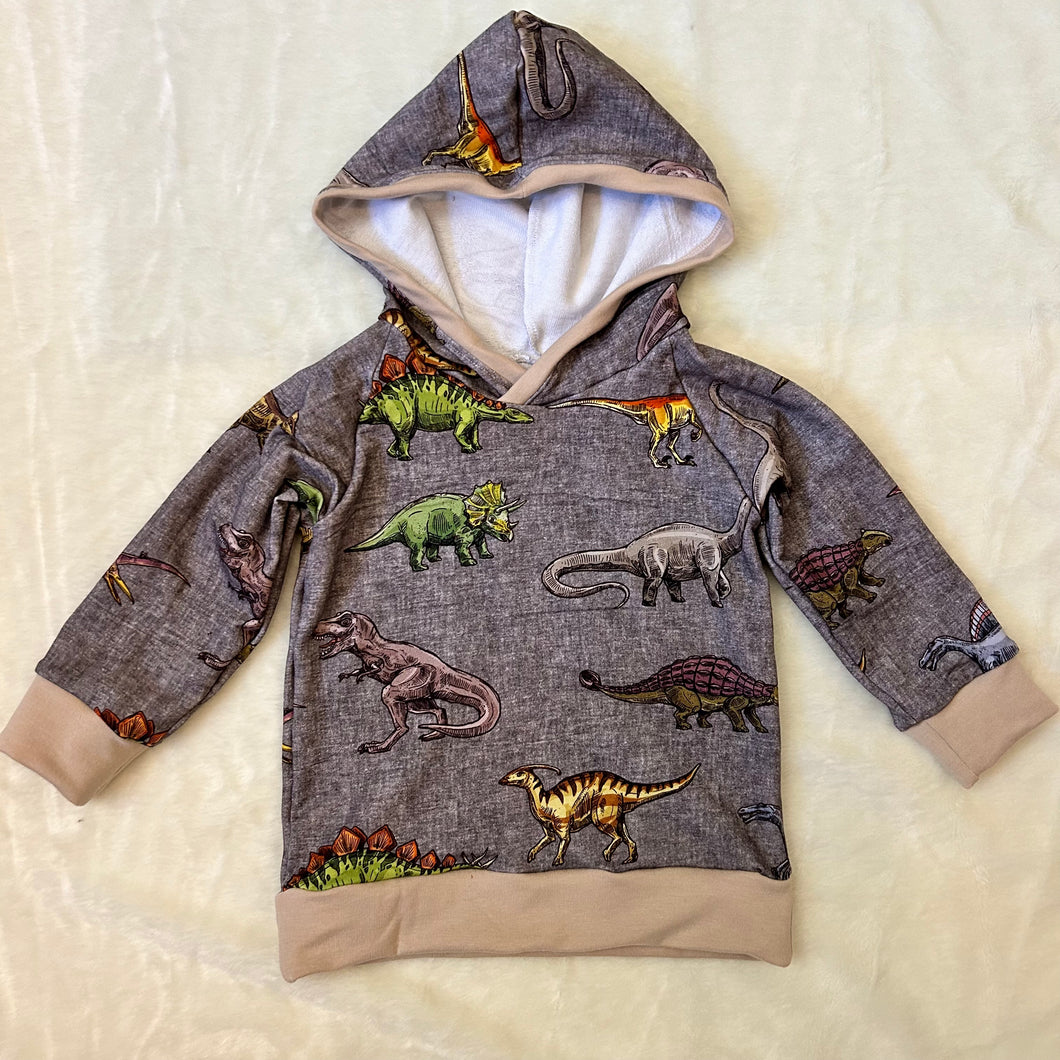 Neutral Dinos Raglan Hoodie